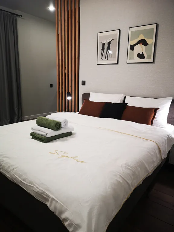 Студия с зонированной кухней в Самолёт-3