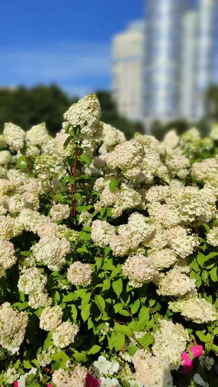 Уютное место для отдыха с кондиционером