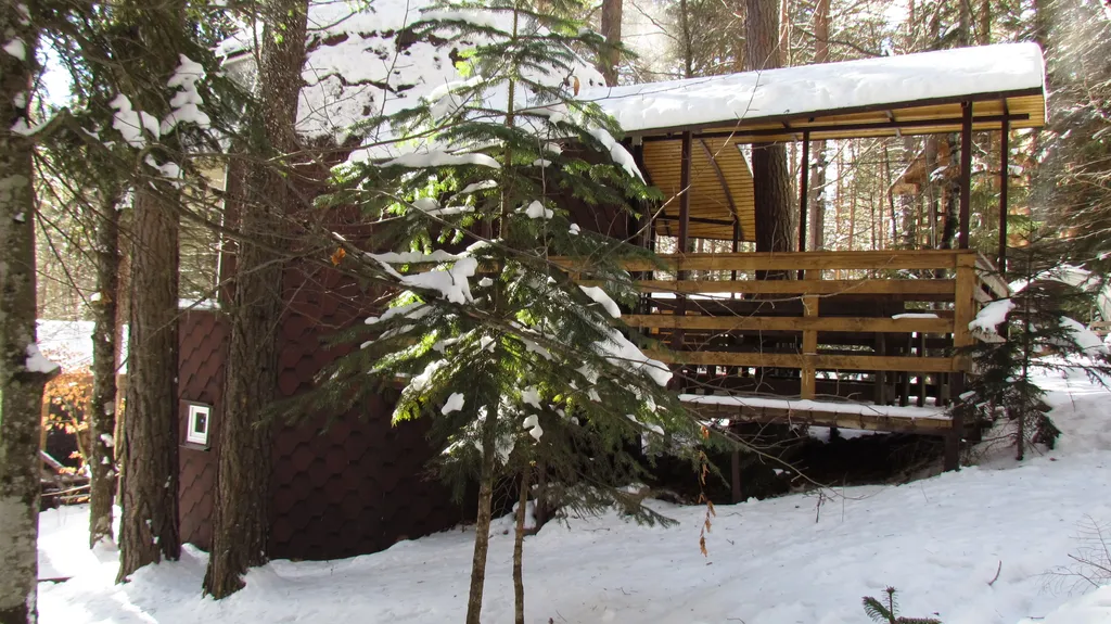 Коттедж Купольный дом в заповедном лесу — Архыз