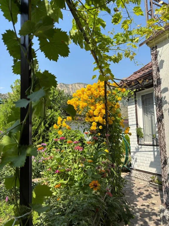 Дом в горах с кинотеатром Kurmimonte