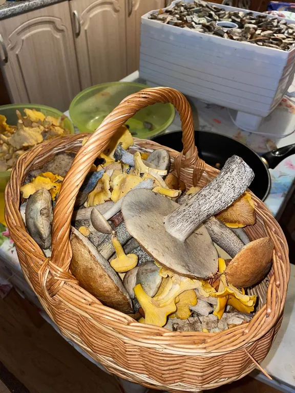 Уютный дом у озера