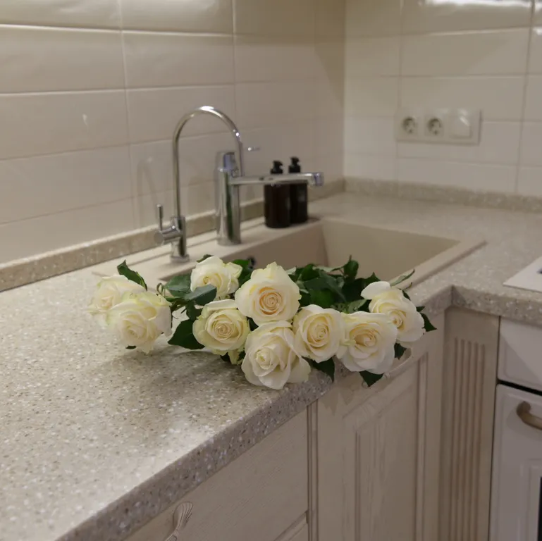 Квартира Лебединая гавань в центре города