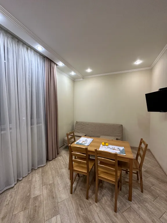 Евро-двухкомнатный апартамент Лаура 8