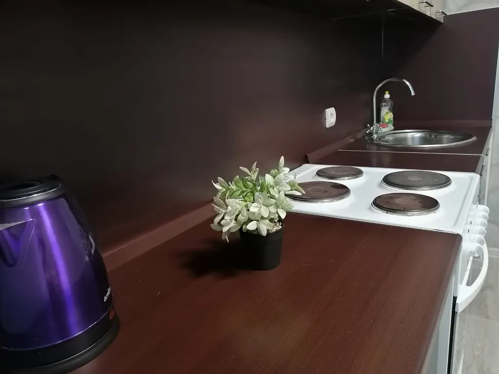 1-комнтная квартира для семейного отдыха и деловых поездок