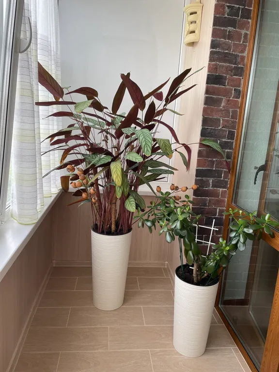 Уютная квартира с проходной лоджией с видом на вулкан