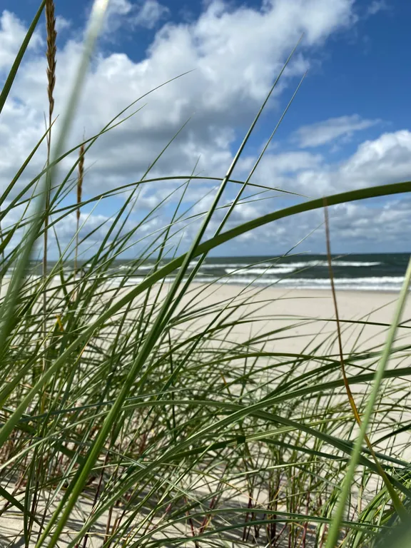 Квартира 1-комнатная Квартира — Зеленоградск