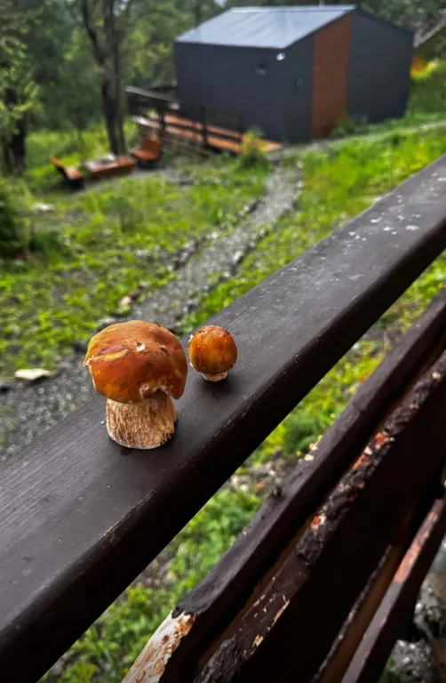 Коттедж 2-комнатный Дом — Архыз