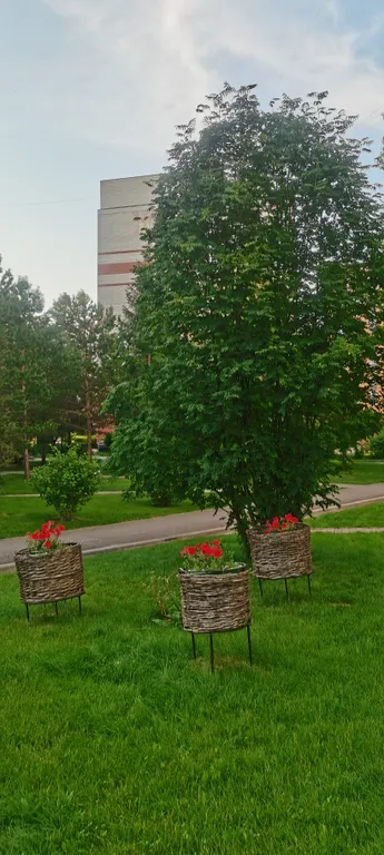 Комфортная 3-комнатная в лучшем живописном районе