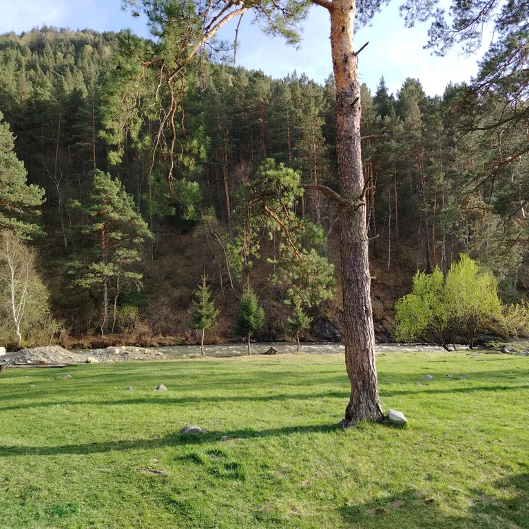 Глубинка Алтая, дом с камином на берегу реки