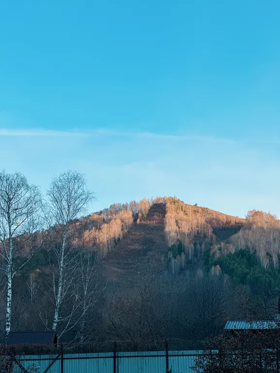 Гостевой дом и кедровая баня на Алтайской