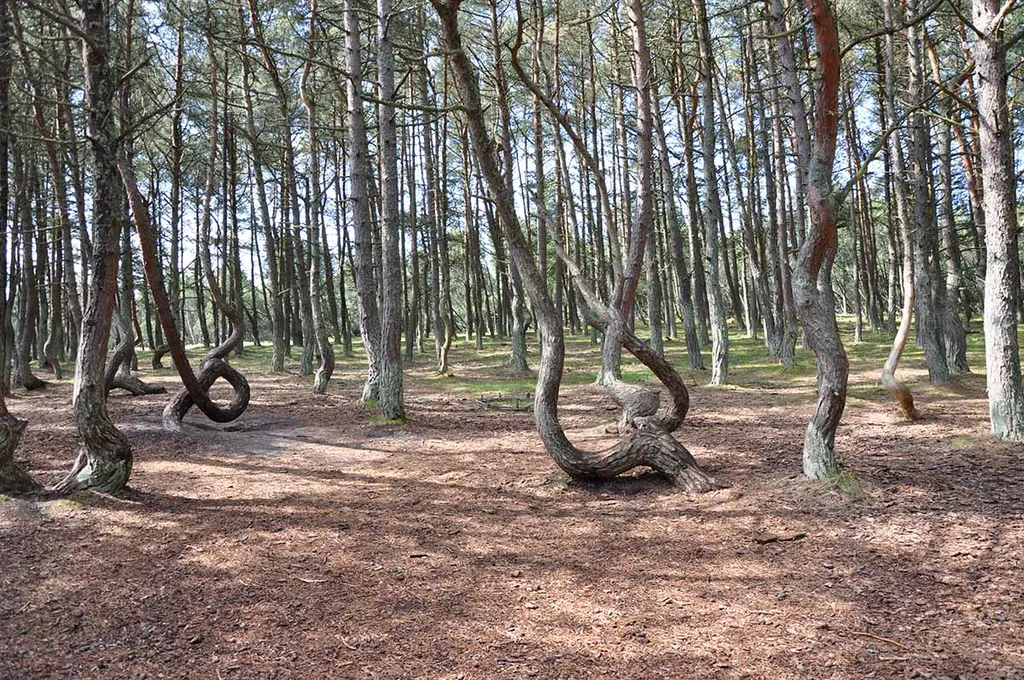 Квартира Квартира Люкс в центре в новом доме с парковкой и видами на город — Калининград