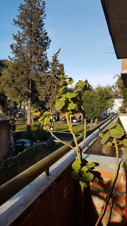 Квартира в центре города