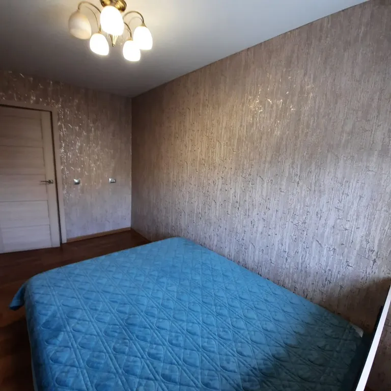 Уютная квартира в центре города возле Театра Горького