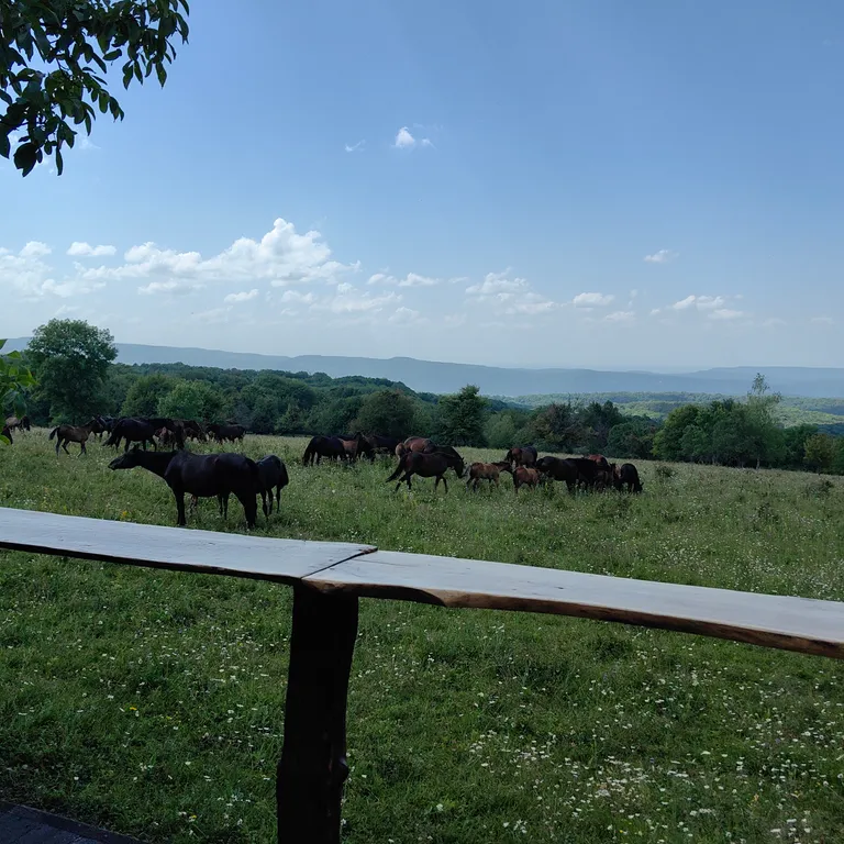 Коттедж Отдых от городской суеты в Адыгеи, домик в лесу А-фрейм — Веселый