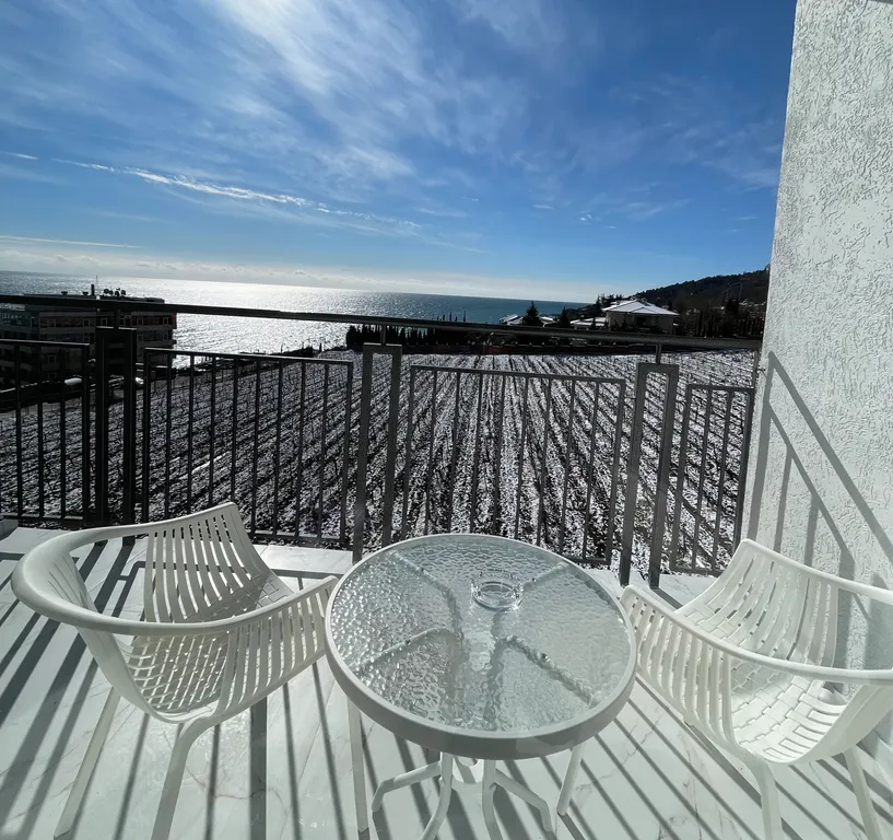 Апартамент с потрясающим видом на море и виноградники