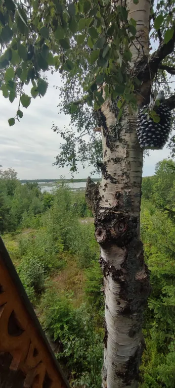 Комната с отдельным входом