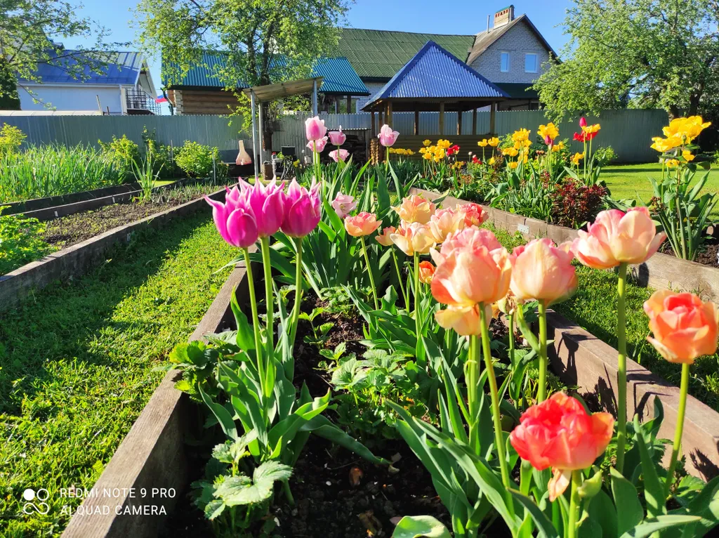 Частный дом Валентина