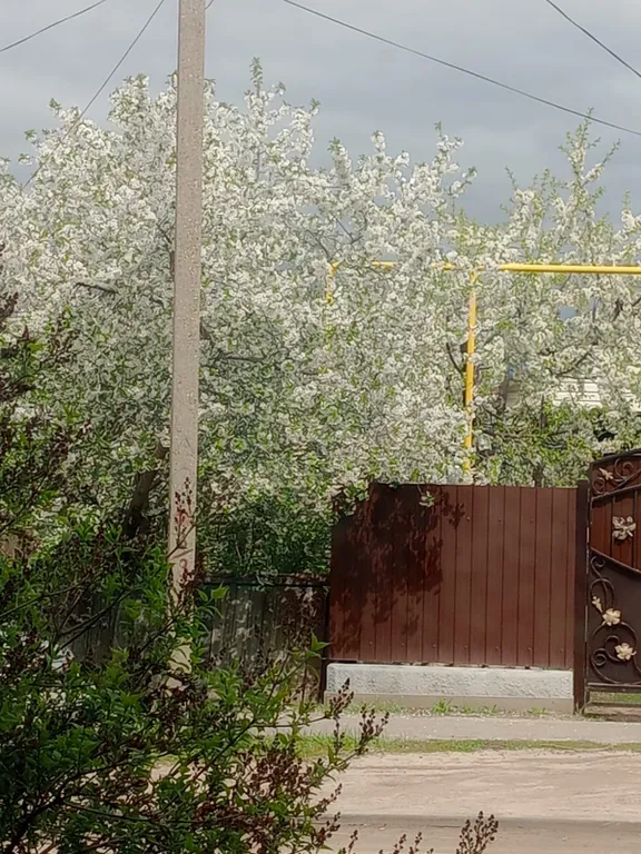 Квартира Уютная квартира для прекрасного отдыха — Сириус