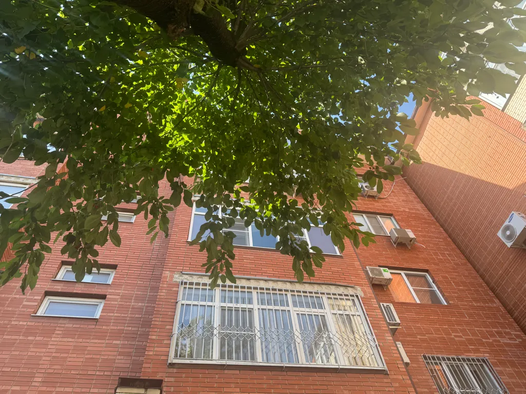 Одноместная студия