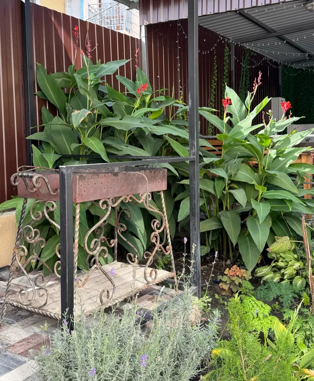 Новый дом с подогреваемым бассейном