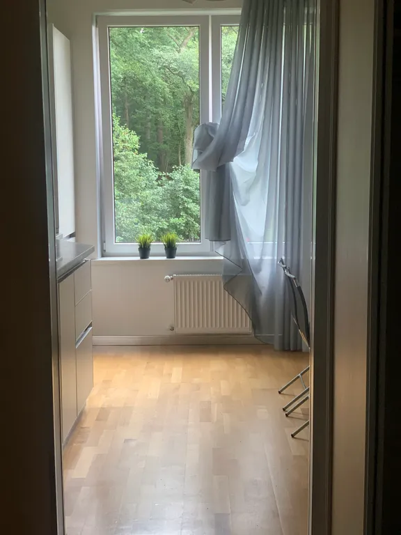 Квартира Уютная квартира в центре города с лесным массивом . — Светлогорск