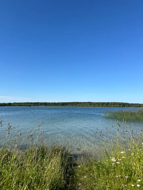 Коттедж 3-комнатный Дом — Санкт-Петербург