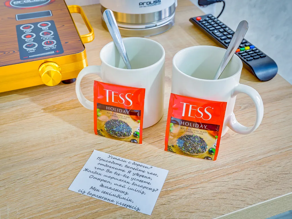 По-домашнему уютная двухместная студия — Весновка