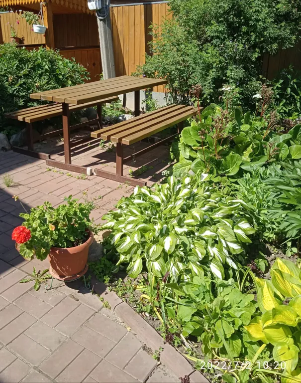 Двухкомнатные апартаменты Ирисы со всеми удобствами