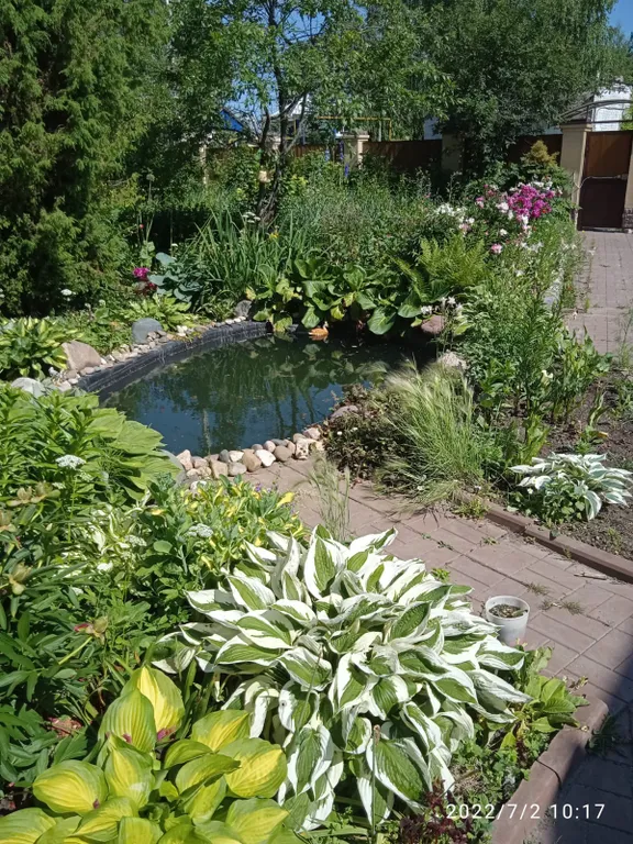 Уютный номер Маки