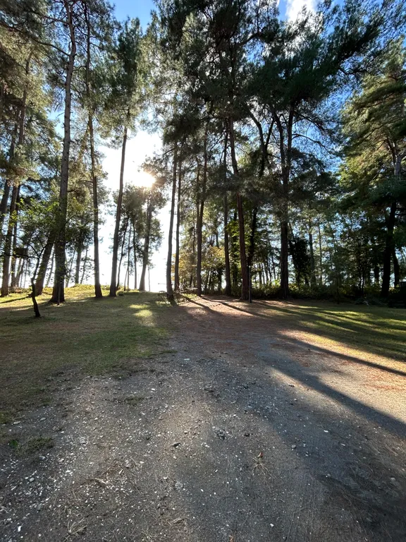 Апартамент Атра