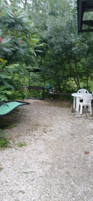 Дача Светлана