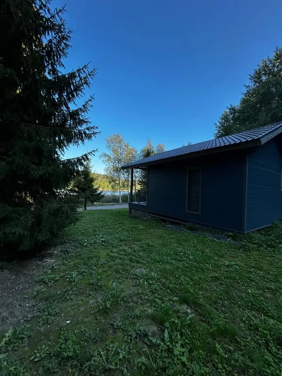 Тихий домик у леса и озера