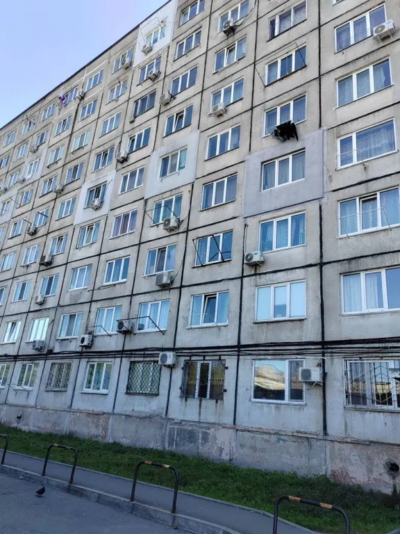 Светлая гостинка, свежий ремонт, 4 спальных места