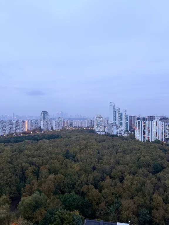 Квартира Квартира Студия с видом на центр и Москва-сити — Москва