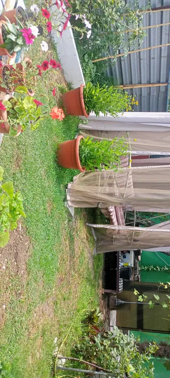 Коттедж Отличный домик для отдыха — Сочи