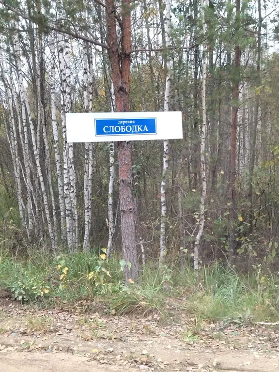 Дом в деревне