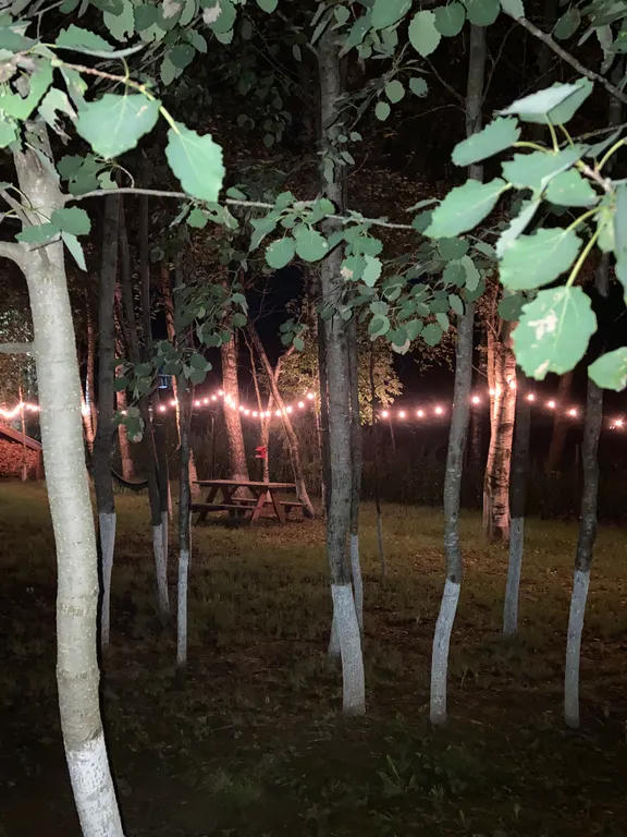 Домик с печью/камином в окружении природы