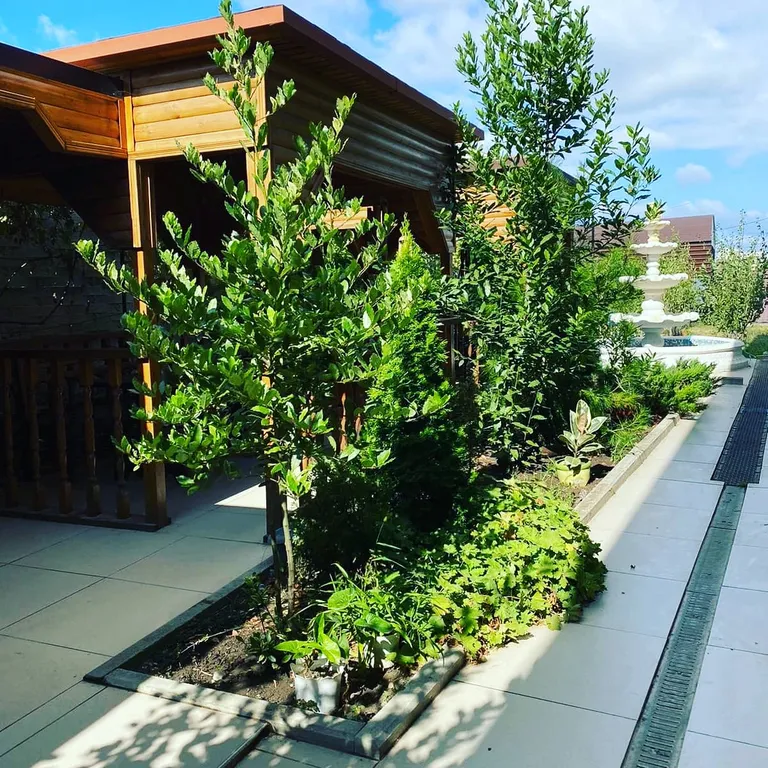 Квартира Квартира-студия на Фиоленте с отдельными кроватями — Севастополь