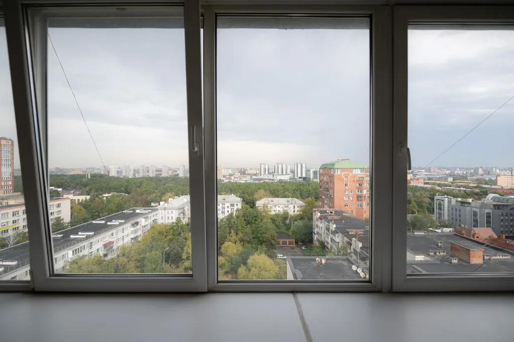 Городской бор