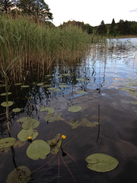 Любимый причал 3