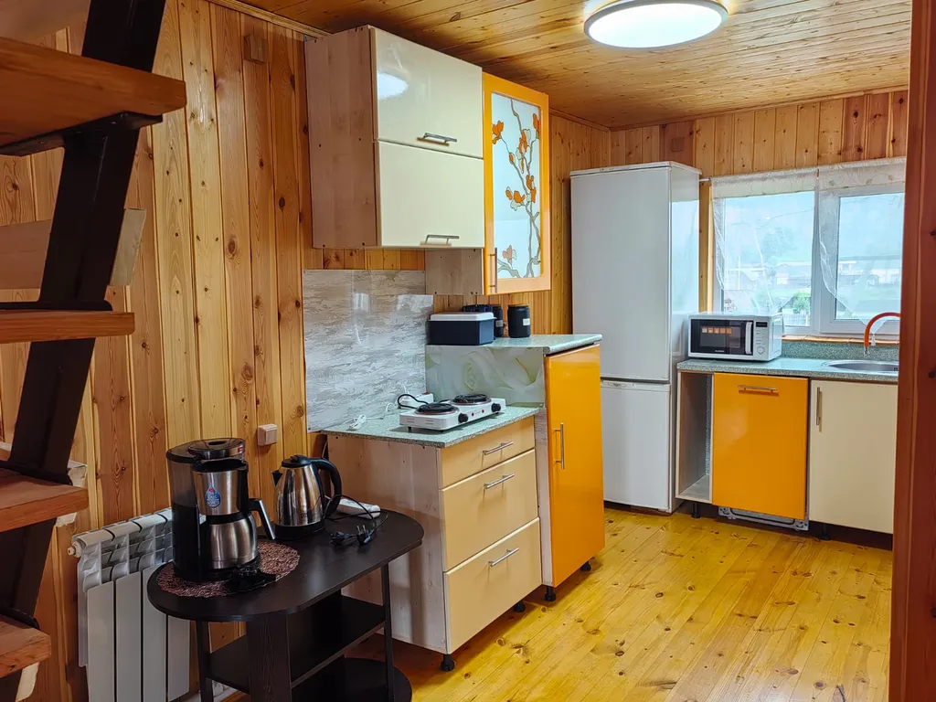 Уютная студия с видом на Катунь и Гору