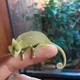 Максим