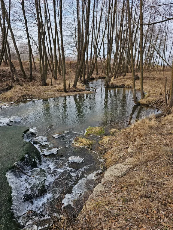 Уединенный дом в лесу