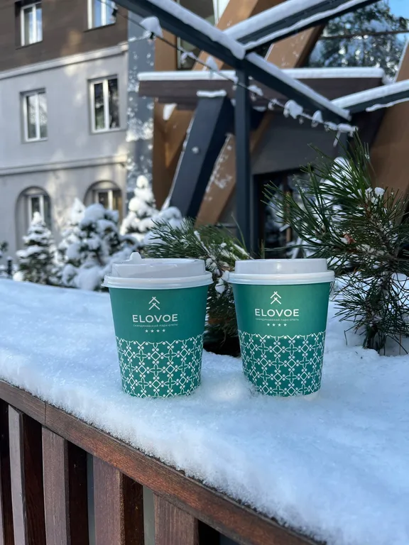 Апартамент в скандинавском парк-отеле Еловое