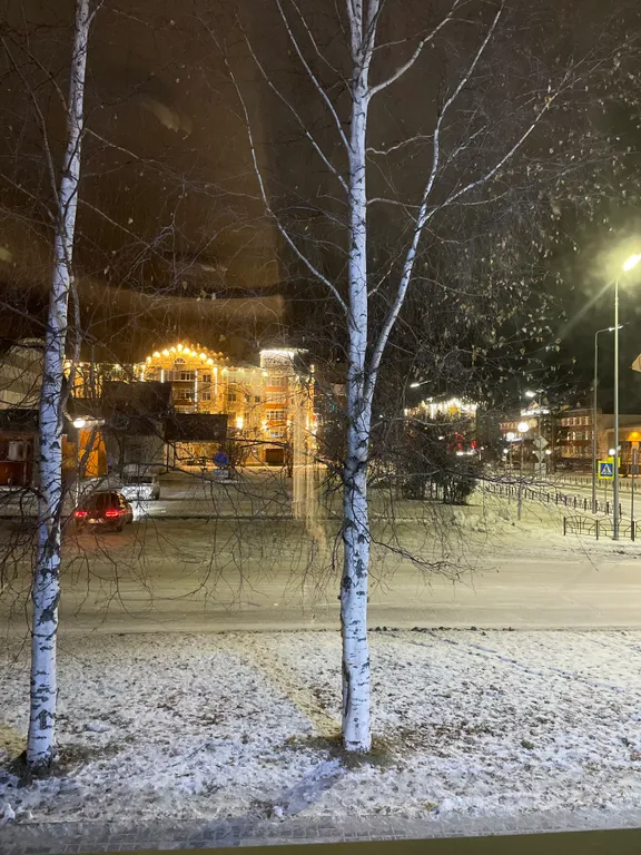 Уютная, светлая квартира с видом на гостиницу карибу