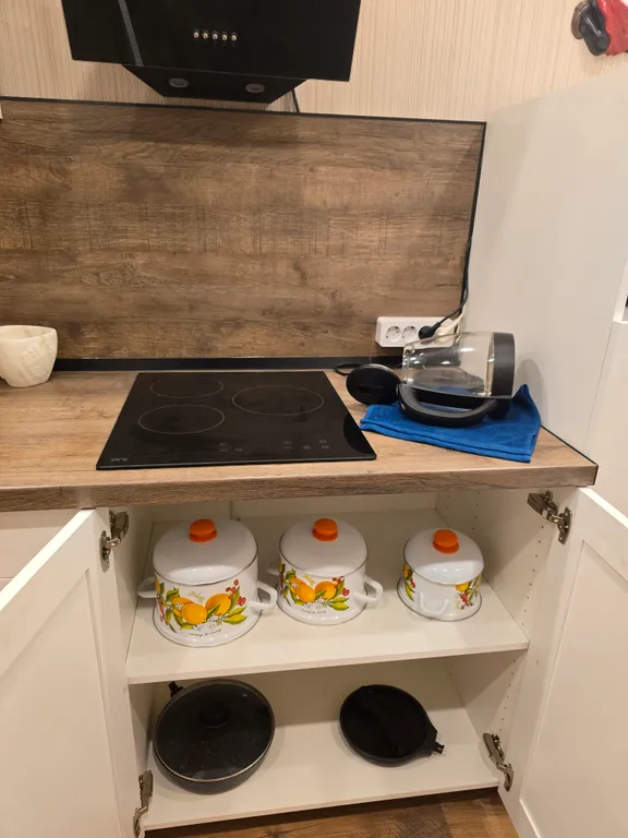 Уютная квартира у Онежского озера