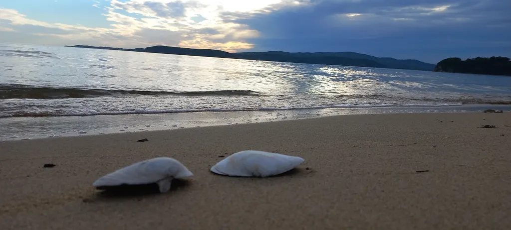 Дом, баня, чан, рядом с морем п.Волчанец кп.Венеция Приморский край