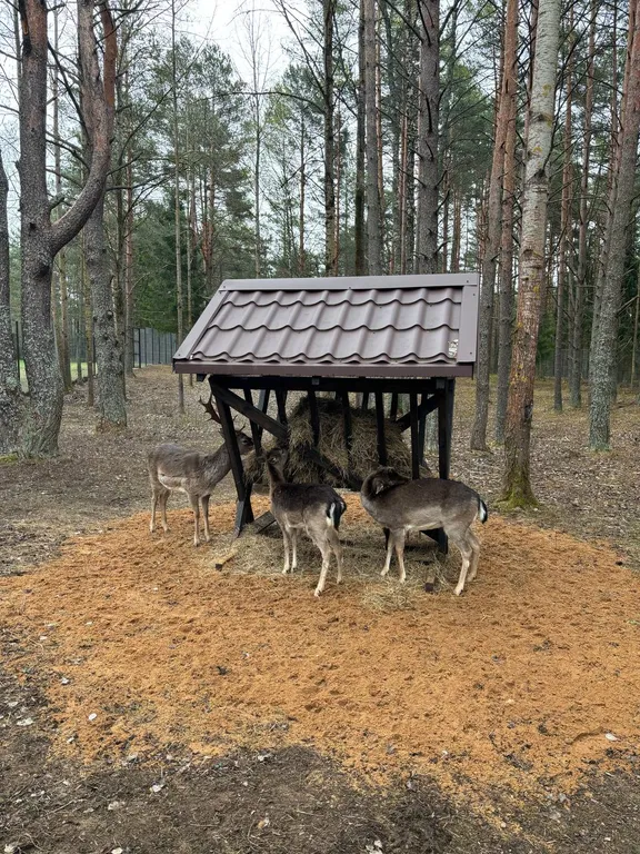 Уютная квартира в курортном поселке Нарочь