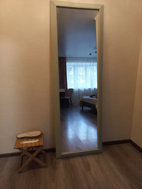 Сканди апартамент в самом центре города