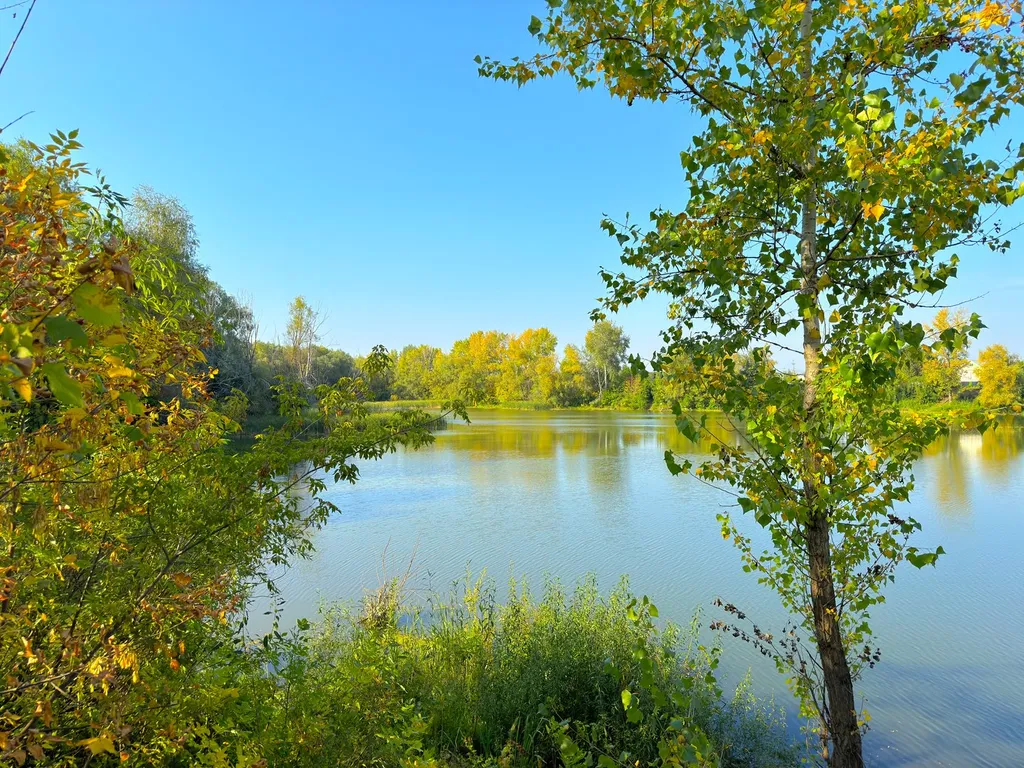 Коттедж Ливерпуль